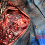 José Gregorio Pacheco Ríos