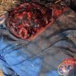 José Gregorio Pacheco Ríos