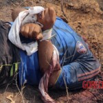 José Gregorio Pacheco Ríos