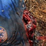 José Gregorio Pacheco Ríos