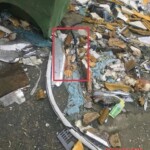 Famous Vietnamese youtuber found decomposing