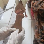 Guy beheaded his wife because she wanted to divorce