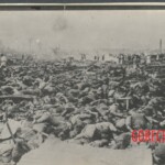 Japanese victims of American bombing