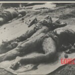 Japanese victims of American bombing