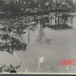Japanese victims of American bombing