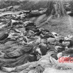 Japanese victims of American bombing
