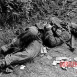 Fallen German soldiers during WWII