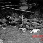 Fallen German soldiers during WWII