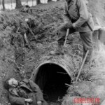 Fallen German soldiers during WWII