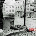 Fallen German soldiers during WWII