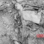 Fallen German soldiers during WWII