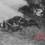 Victim of World War II