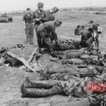 Victim of World War II