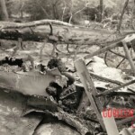 Victim of World War II