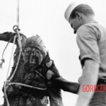 Victim of World War II