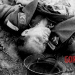 Victim of World War II