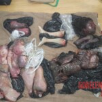 Sheyla Cóndor Torres