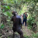 Rotting body of hanged man found in Indonesian rainforest