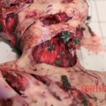 Three people mauled by bear