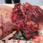 Three people mauled by bear