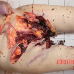 Three people mauled by bear