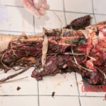 Three people mauled by bear