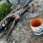 Young painter electrocuted to death