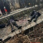 5 Hizb-ul-Mujahideen members killed by the Indian security forces