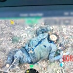 5 Hizb-ul-Mujahideen members killed by the Indian security forces