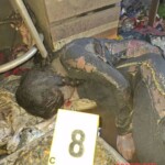 9 people tragically lost their lives in family house fire