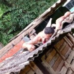 Brazilian gangster shot dead in territory war