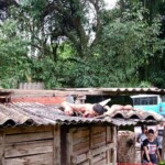 Brazilian gangster shot dead in territory war