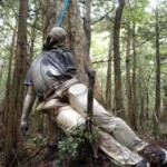 Corpses of the Japanese suicide forest