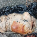 Perla Analí Córdova