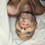 Dozens corpses found in Sednaya Prison