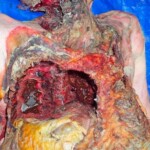 Elderly man eaten by domestic cats