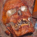 Elderly man eaten by domestic cats