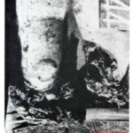 Victim of World War II