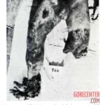 Victim of World War II