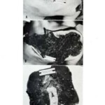 Victim of World War II