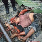 Man fatally hit by train