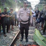 Man fatally hit by train