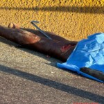 Mentally ill woman fatally hit by car