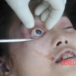 Murdered Chinese teen found in woods