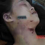 Murdered Chinese teen found in woods