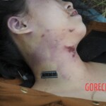 Murdered Chinese teen found in woods