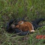 Murdered Chinese teen found in woods