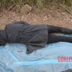 Murdered Chinese teen found in woods