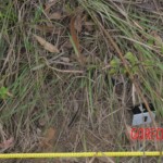 Murdered Chinese teen found in woods