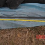 Murdered Chinese teen found in woods